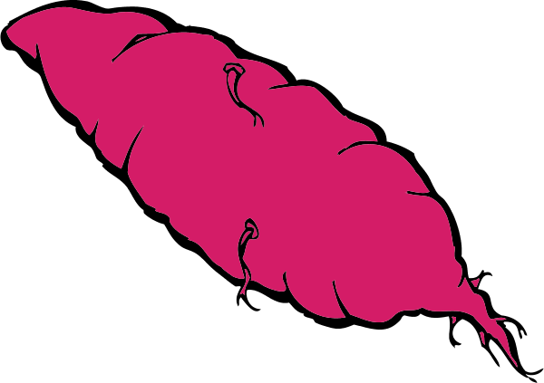 Yam - Sweet Potato Clip Art (600x423)