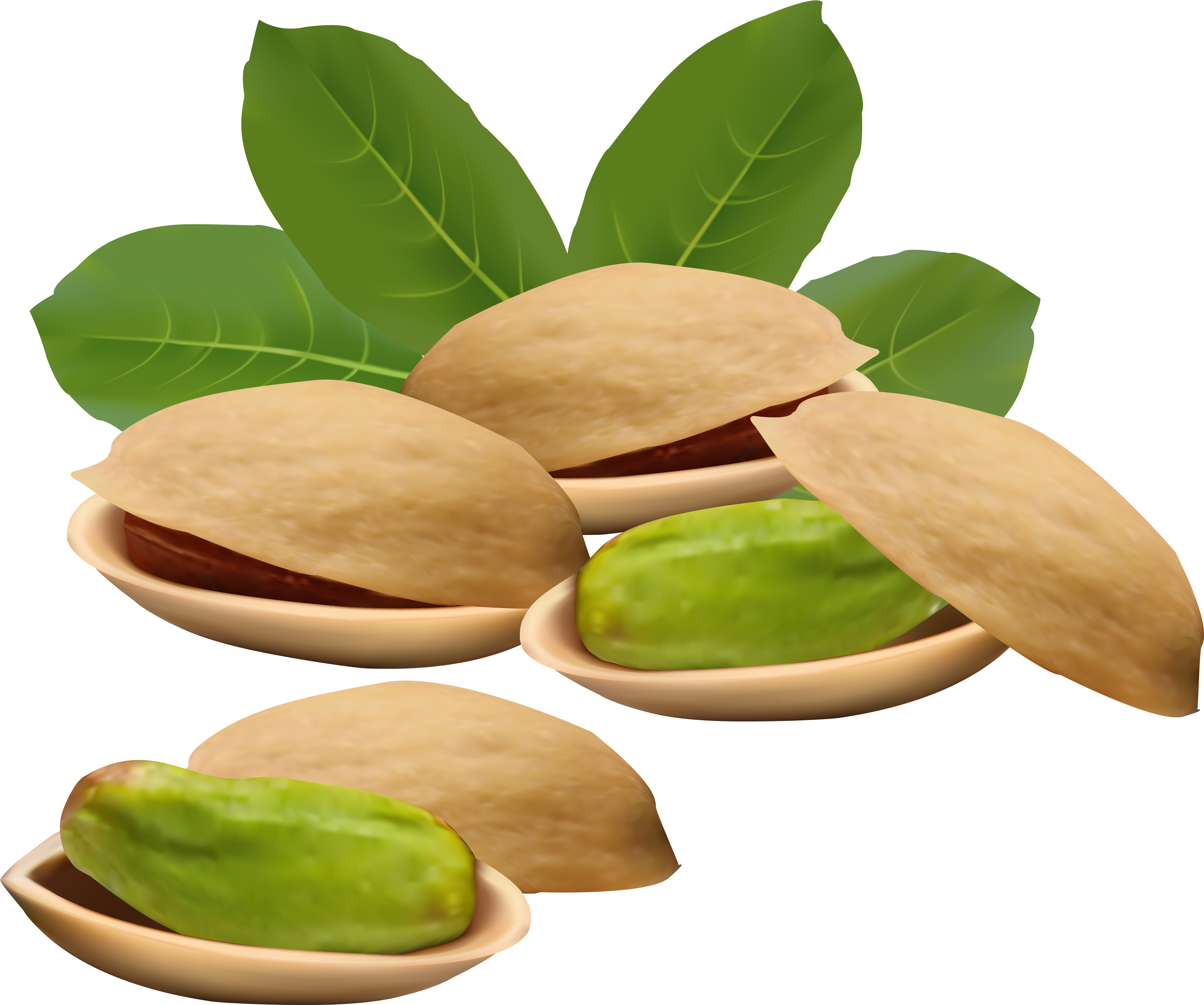Pistachio - Pistachio Clipart (5856x4898)