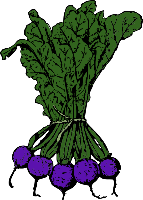 Vector Clip Art - Beets Clip Art (600x839)