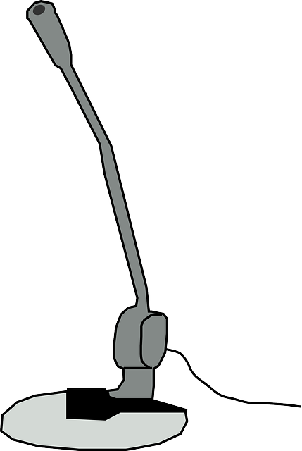 Record Computer, Chat, Cartoon, Audio, Microphone, - Computer Microphone Black And White (429x640)