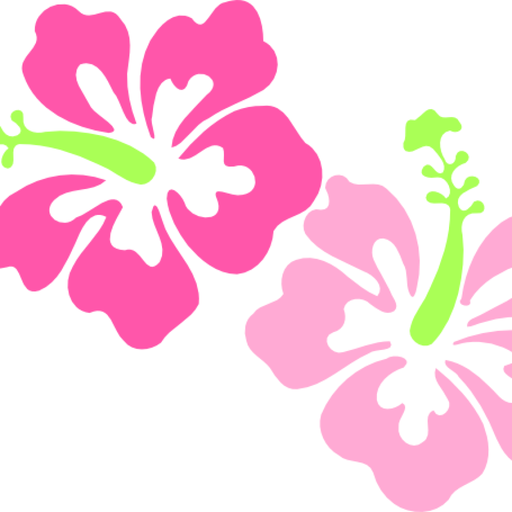 Hawaiian Flower Clipart Hawaiian Flower Clip Art Borders - Hibiscus Clip Art (1024x1024)