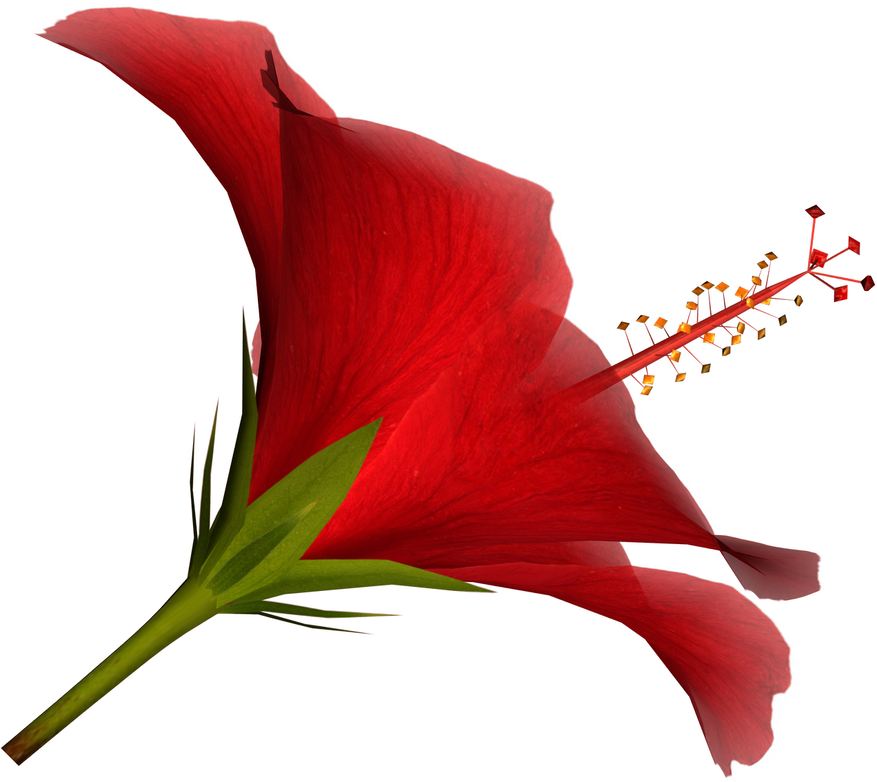 Free High Resolution Graphics And Clip Art - Tropical Red Flower Png (1272x1134)