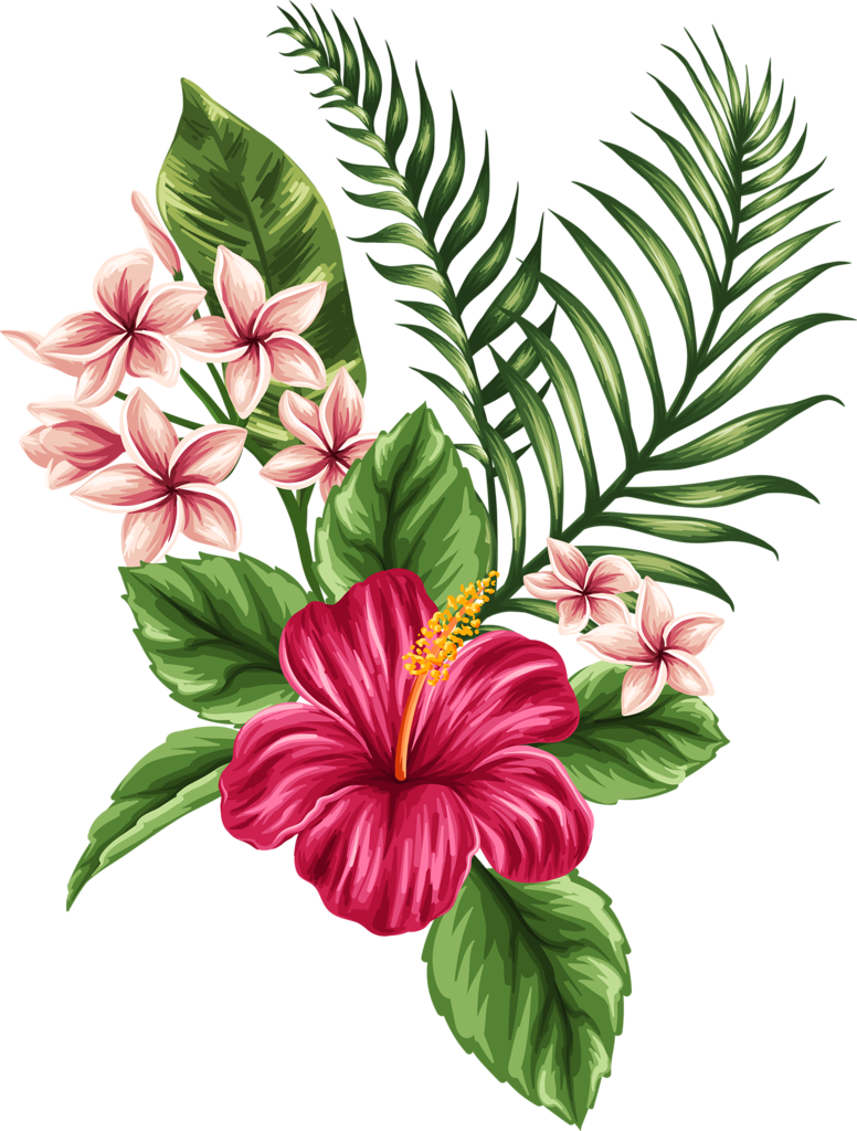 Flower Tropics Drawing Clip Art - Flower Drawing (776x1024)