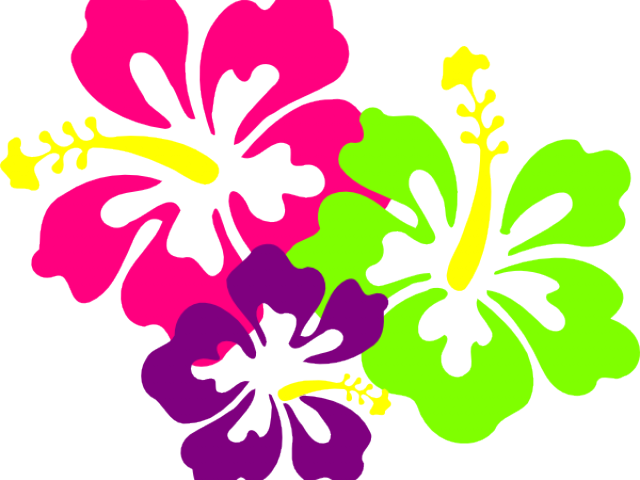Polynesia Clipart Hawaii Flower - Hibiscus Clip Art (640x480)
