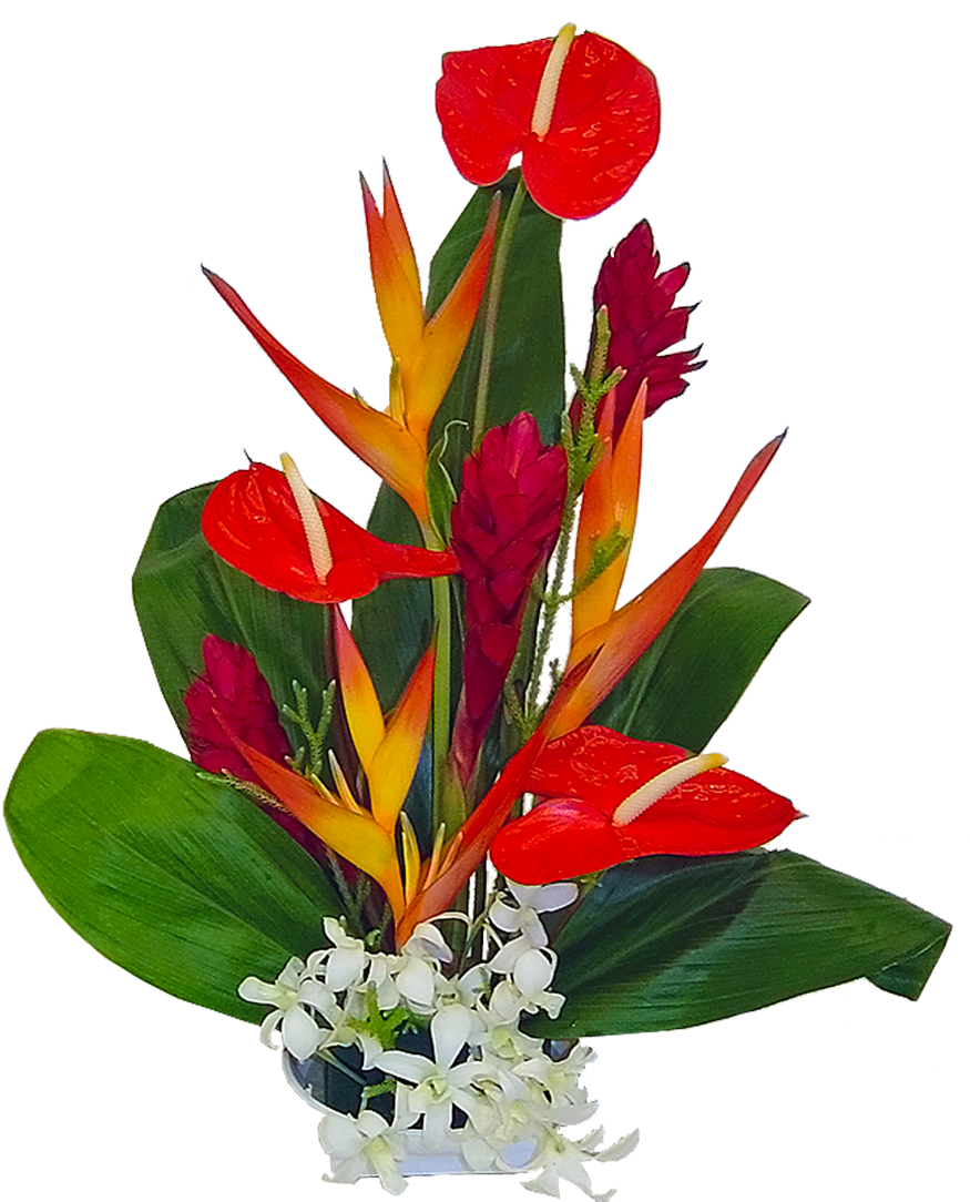 Hawaiian Tropical Flower Bouquets Clipart - Hawaiian Tropical Flower Bouquets Clipart (1200x1200)