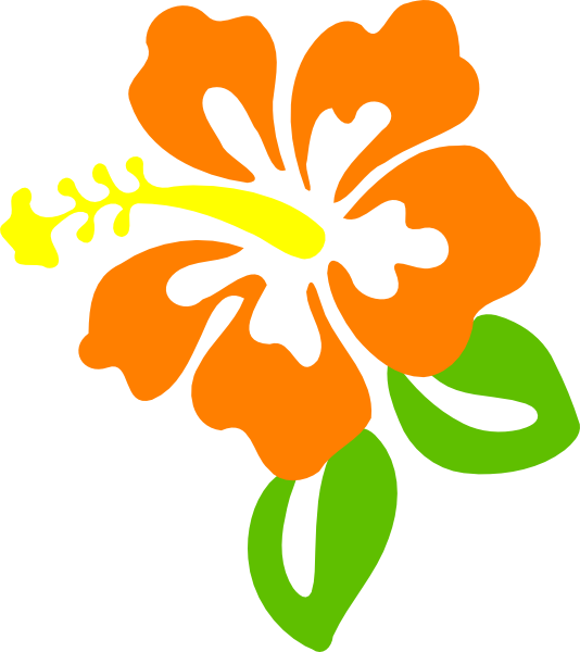 Orange Flower Clipart - Hibiscus Clip Art (534x600)