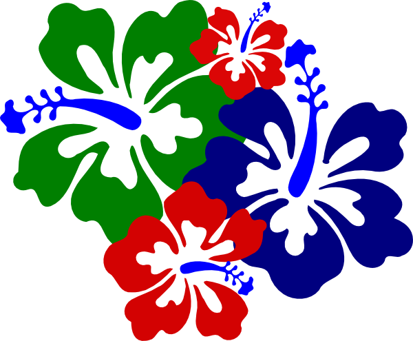 Hibiscus Flower Cartoon - Hawaii Flower (600x495)