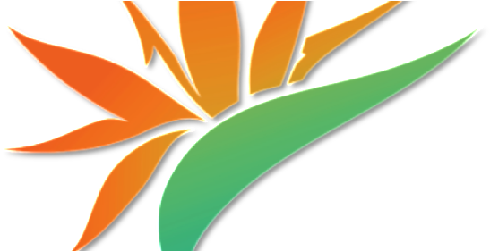 Video Production On The Big Island Of Hawaii - Bird Of Paradise (578x280)
