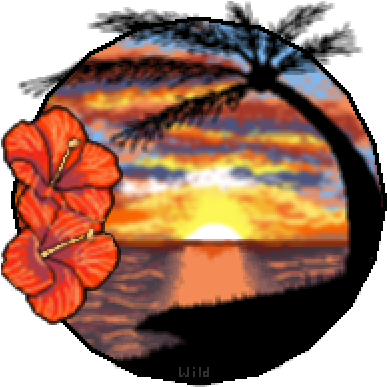 Hawaiian Sunset - Hawaii (400x400)