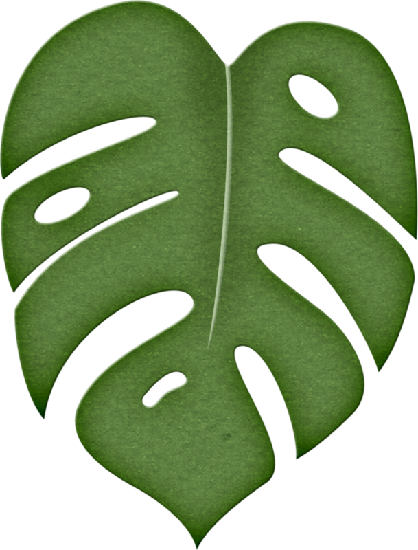 Moana Leaf (609x800)