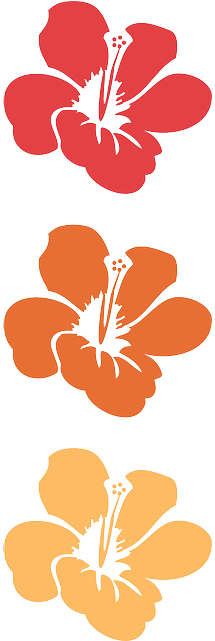 Flower, Flowers, Summer, Hawaii, Floral - 하와이 Png (320x640)