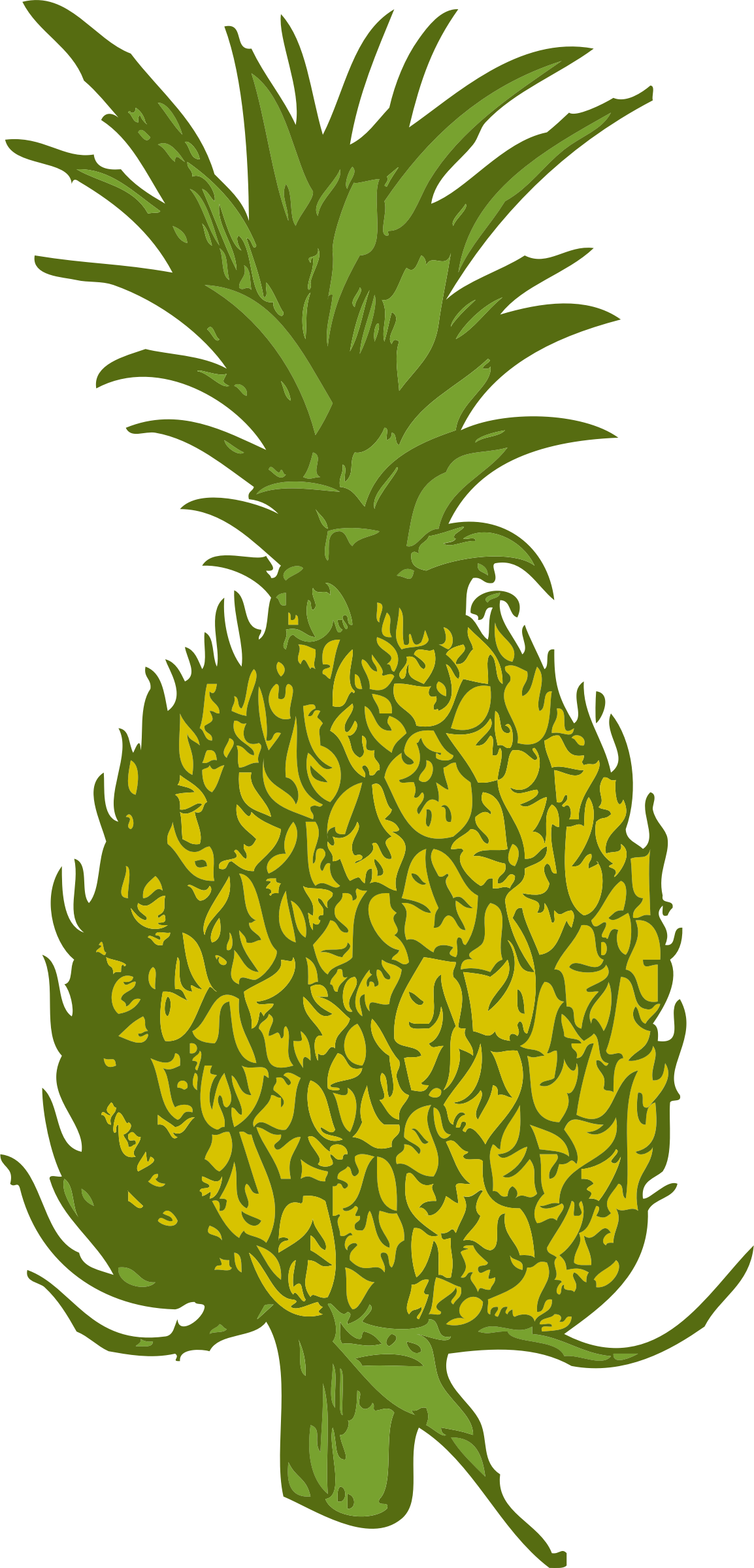 Pineapple Vector Png - Custom Pineapple Shower Curtain (1154x2400)