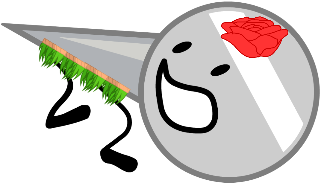 Hawaii Naily - Wiki (1072x612)