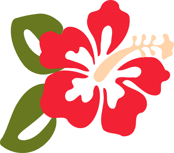 Hibiscus Flower Clip Art (600x529)