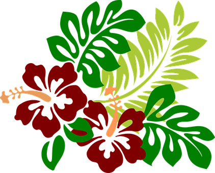 Hibiscus Flowers Red Tropical Hawaiian Blo - Hibiscus Clipart (422x340)