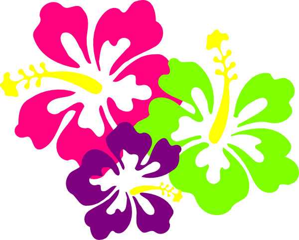 Hibiscus Clipart Polynesian - Hawaii Flower (600x482)