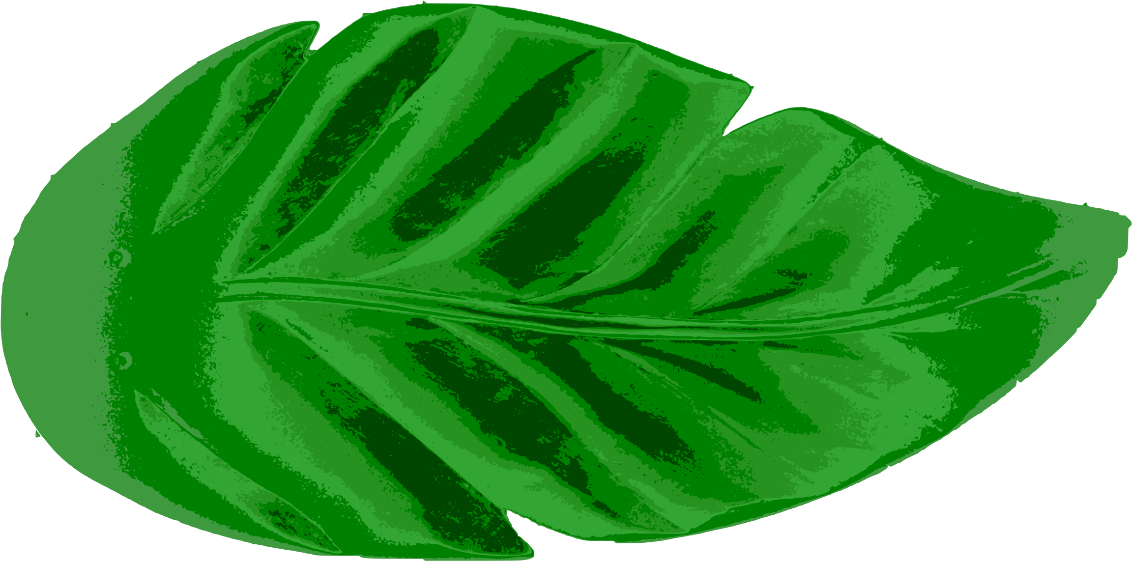 Tropical Leaves Vector Clip Art Eps Images - Tropical Leaf Clipart (2400x1239)
