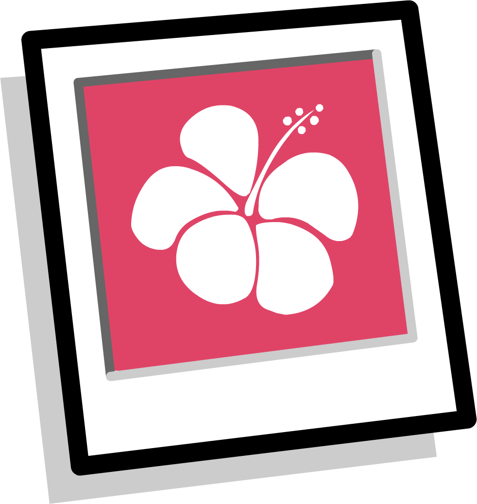 Pink Hawaiian Background Inventory - Club Penguin (982x1037)