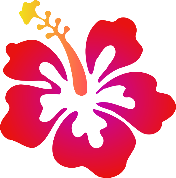 Transparent Background Hibiscus Clip Art (594x601)