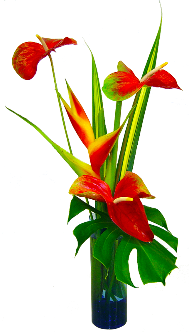 Hawaiian State Flower Clipart Kalapana Tropical - Flower (1200x1200)