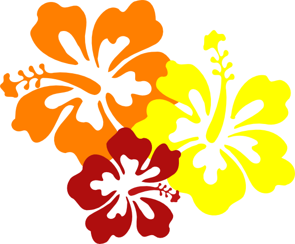 Hawaiian Flower Vector (600x496)