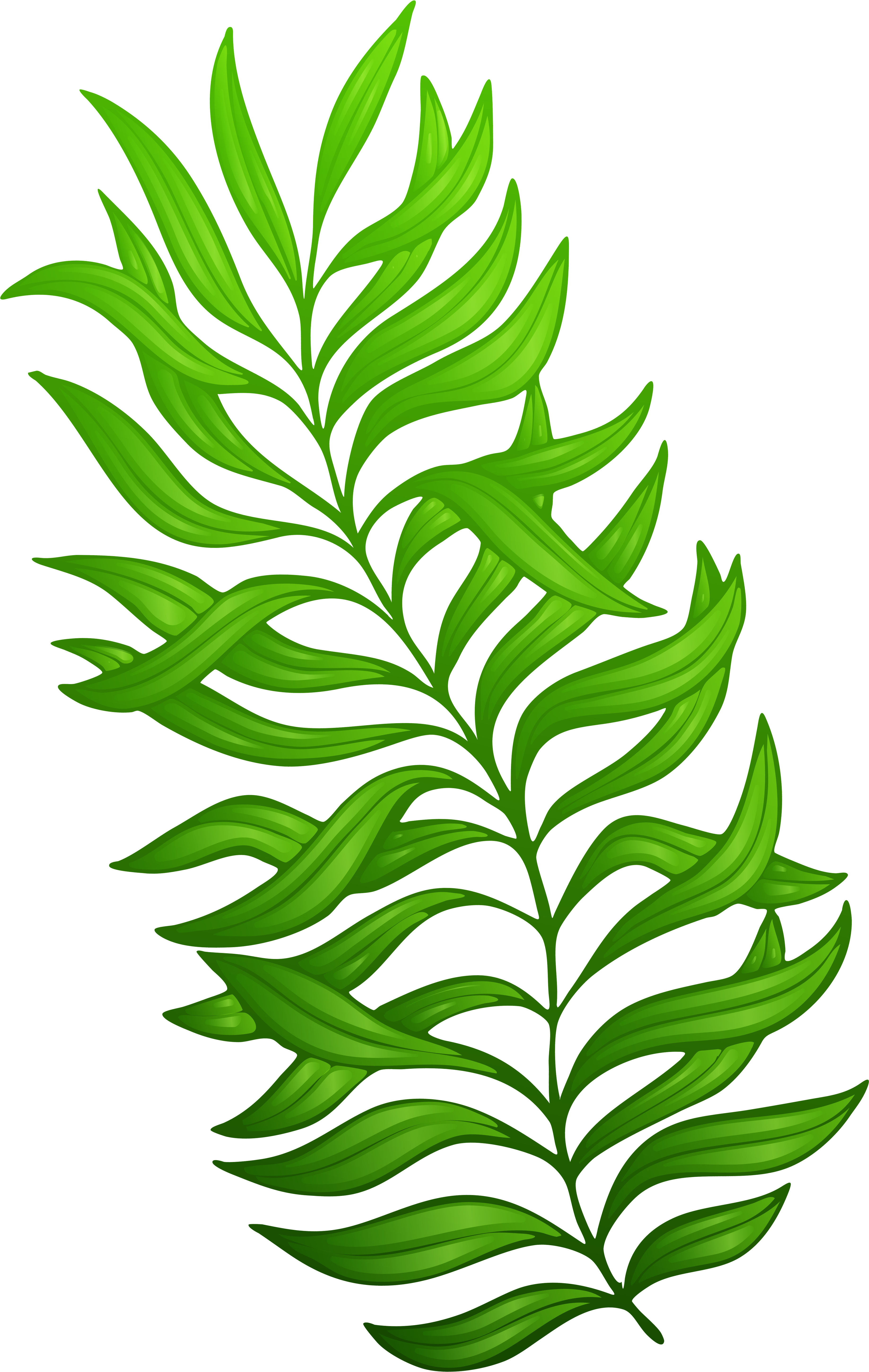 Exotic Green Plant Png Clipart Image - Plant Clip Art Png (3898x5957)
