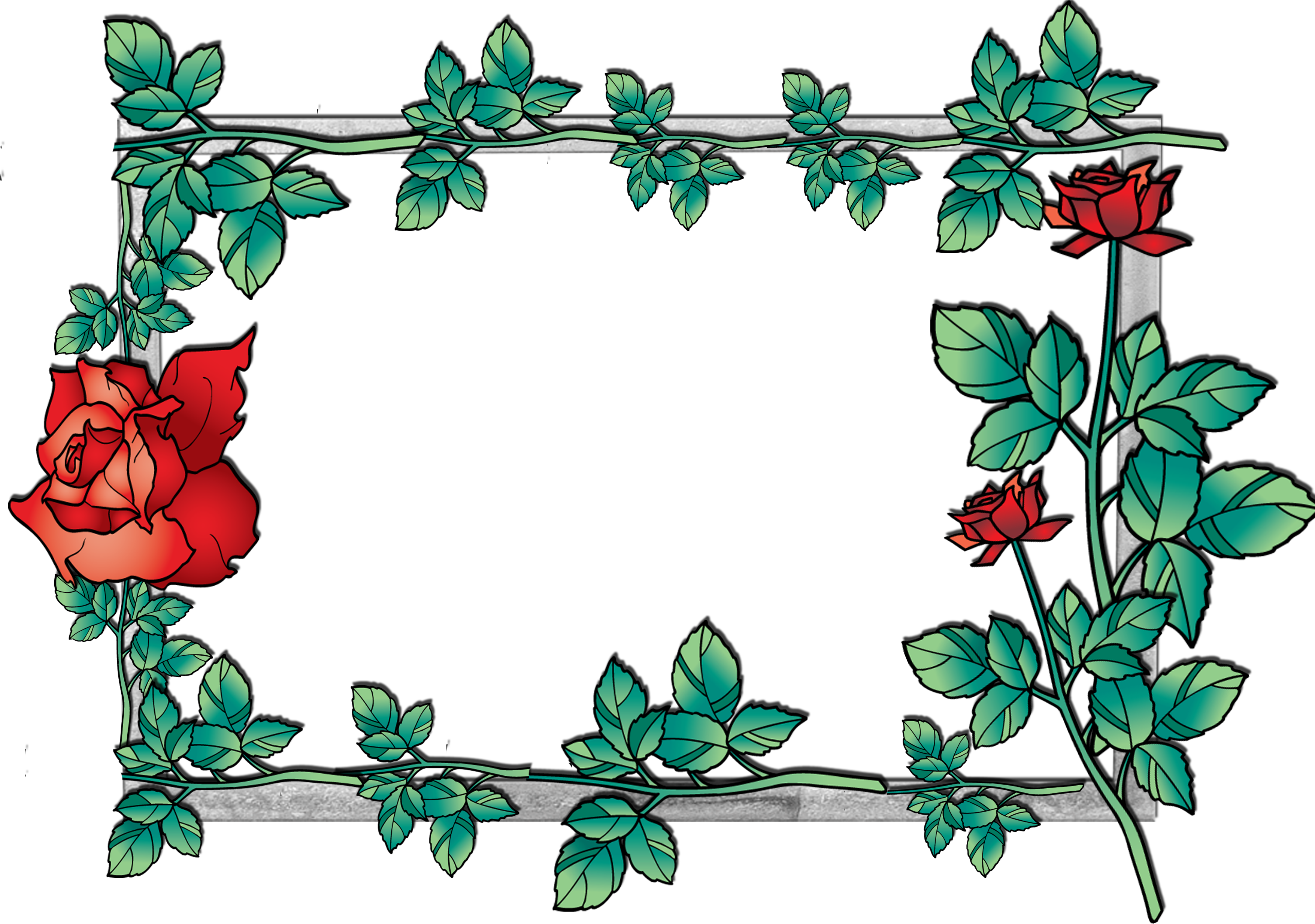 Hawaiian Flowers Borders And Frames - Flower Frames (3510x2480)