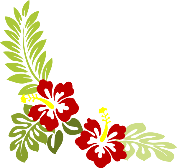 Widened Hibiscus Clip Art - Hibiscus Clip Art (600x571)