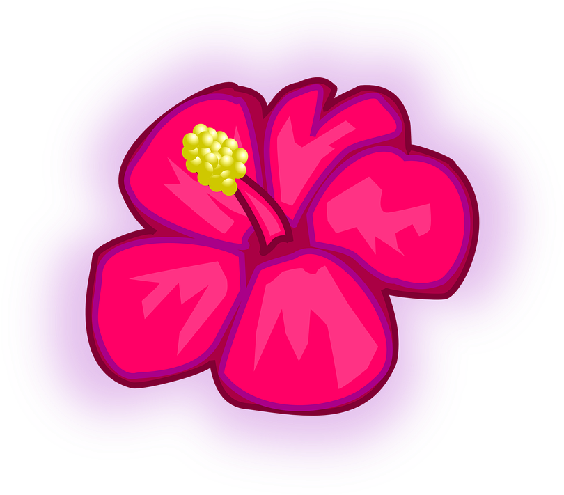 Flower, Flowers, Pink, Rose, Plant, Tropical - Draw A Tropical Flower (815x720)