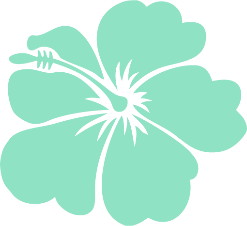 Tumblr Static Flower Hawaiian Tur - Hawaiian Flower (510x466)