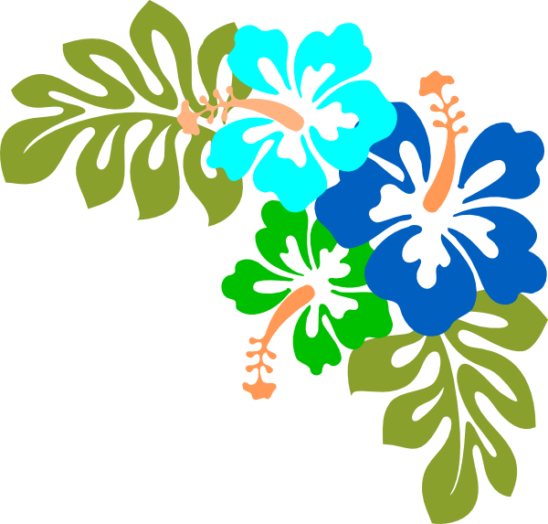 Hawaiian Flowers Transparent Background (600x573)