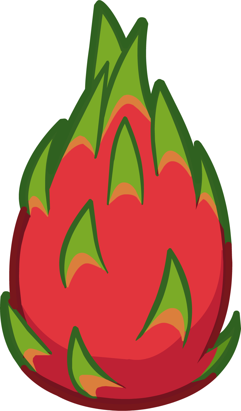 10 Dragon Fruits - Dragon Fruit Clip Art Png (973x1658)