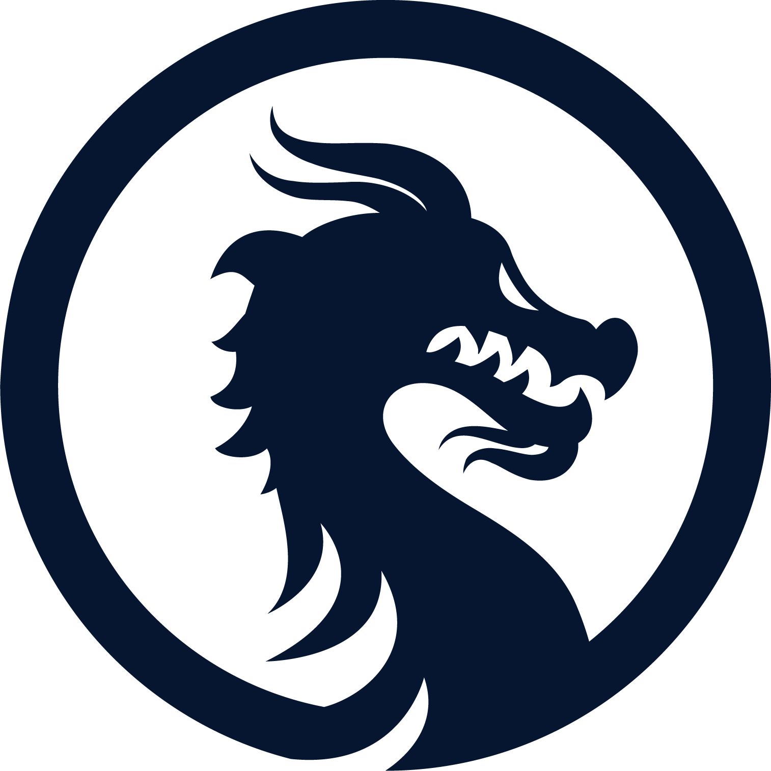 Dragon Logo Png - Dragon Logo Png (1514x1514)