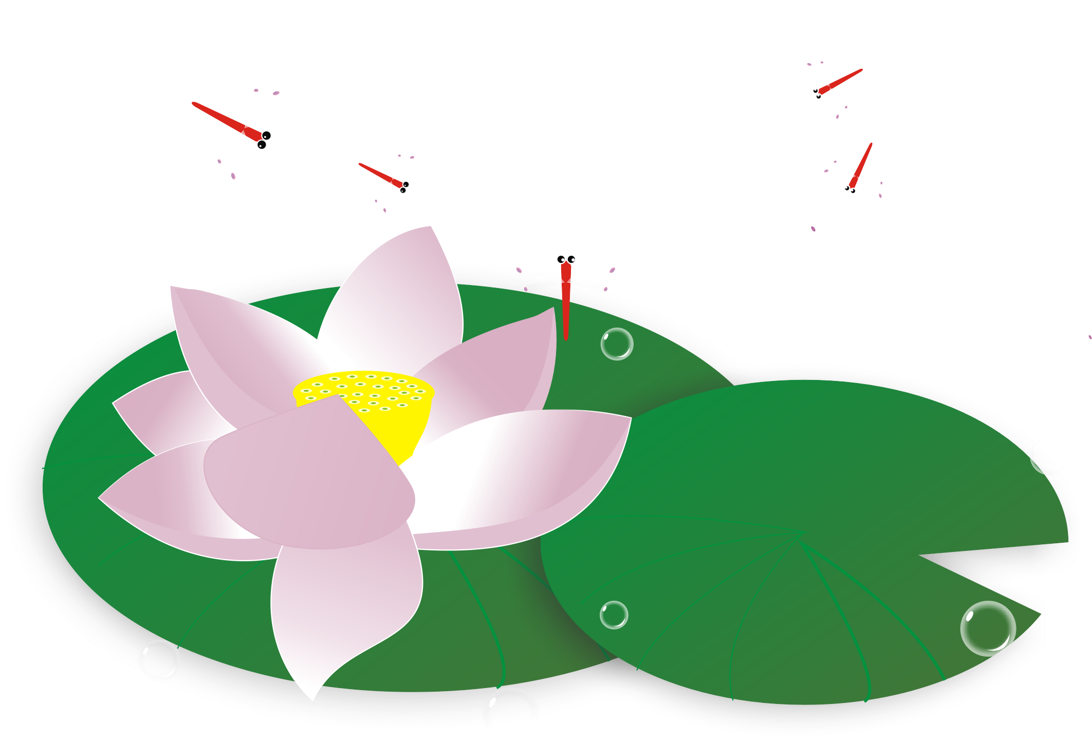 Nelumbo Nucifera Chinoiserie Clip Art - Nelumbo Nucifera Chinoiserie Clip Art (2167x1446)