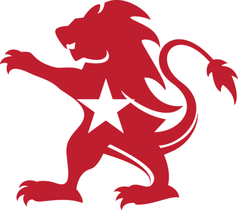 Chinese Lion With Star Symbol - Imagens Da Bandeira Da Jamaica (480x424)