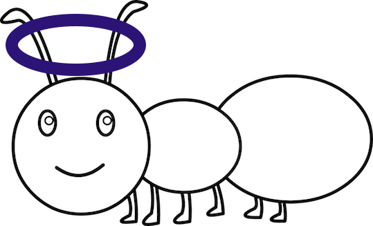 Martin The Philosopher Ant The People Village - Clipart Ants Black And White (539x327)