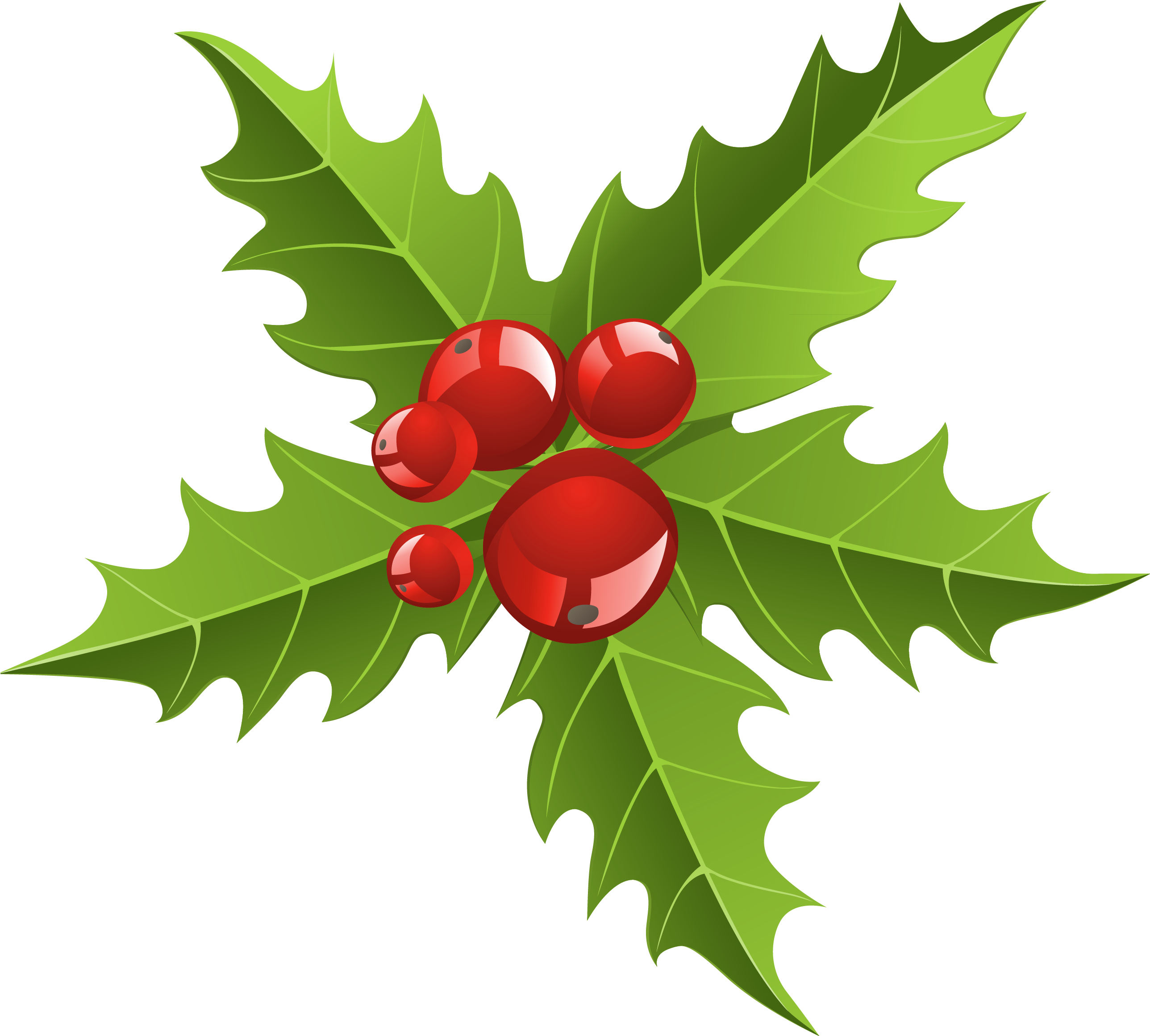 Mistletoe Clip Art - Christmas Day (2644x2644)