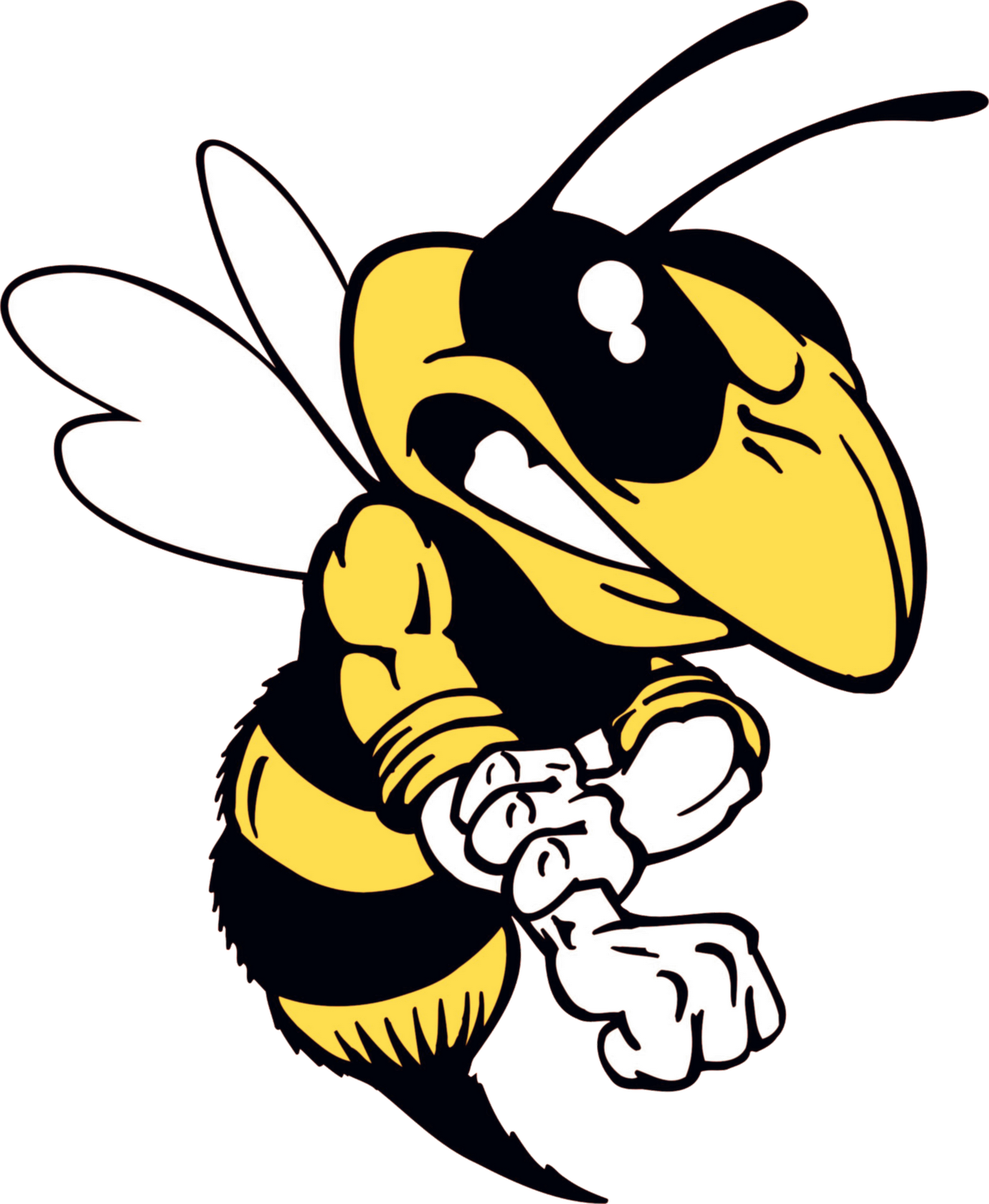 Bee Cartoon - Yellow Jacket (1314x1600)