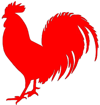 Rooster - Black And White Rooster Clipart (500x353)
