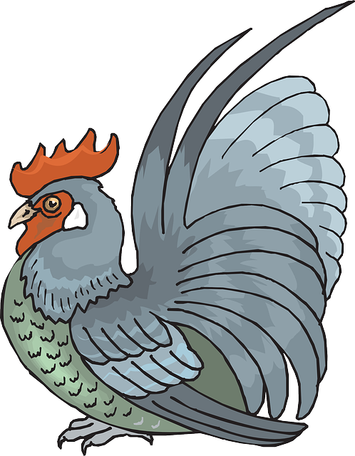 Bird, Rooster, Animal, Feathers, Crouching - Cockrel Chicken Clipart (498x640)