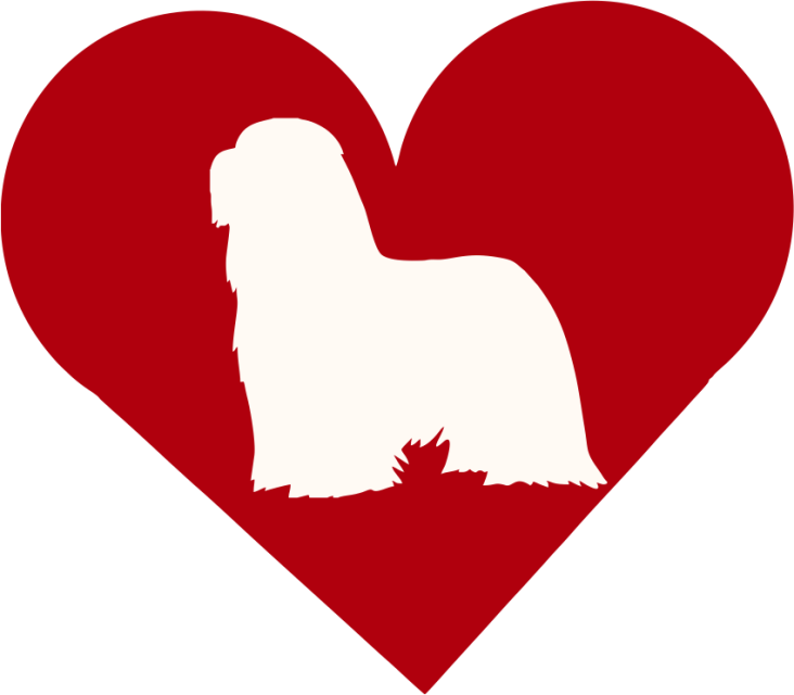 Bearded Collie In Heart Outdoor Vinyl Silhouette - Heart (732x640)