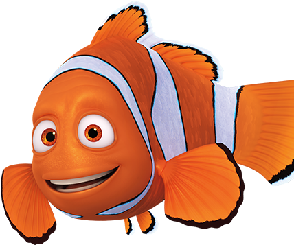 Finding Dory - Nemo Png (555x375)