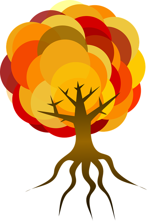 Orange Tree, Fall, Autumn, Foliage, Leaves, Colorful, - Latin Roots Clip Art (478x720)