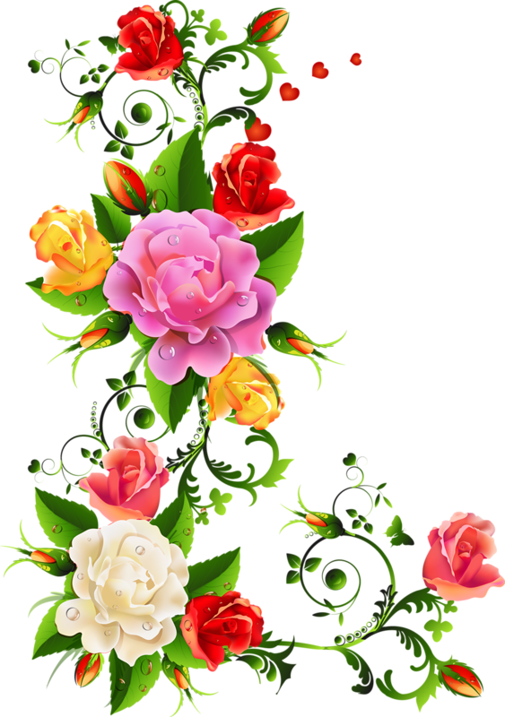 Roses - Elegant Floral Border Design (563x800)
