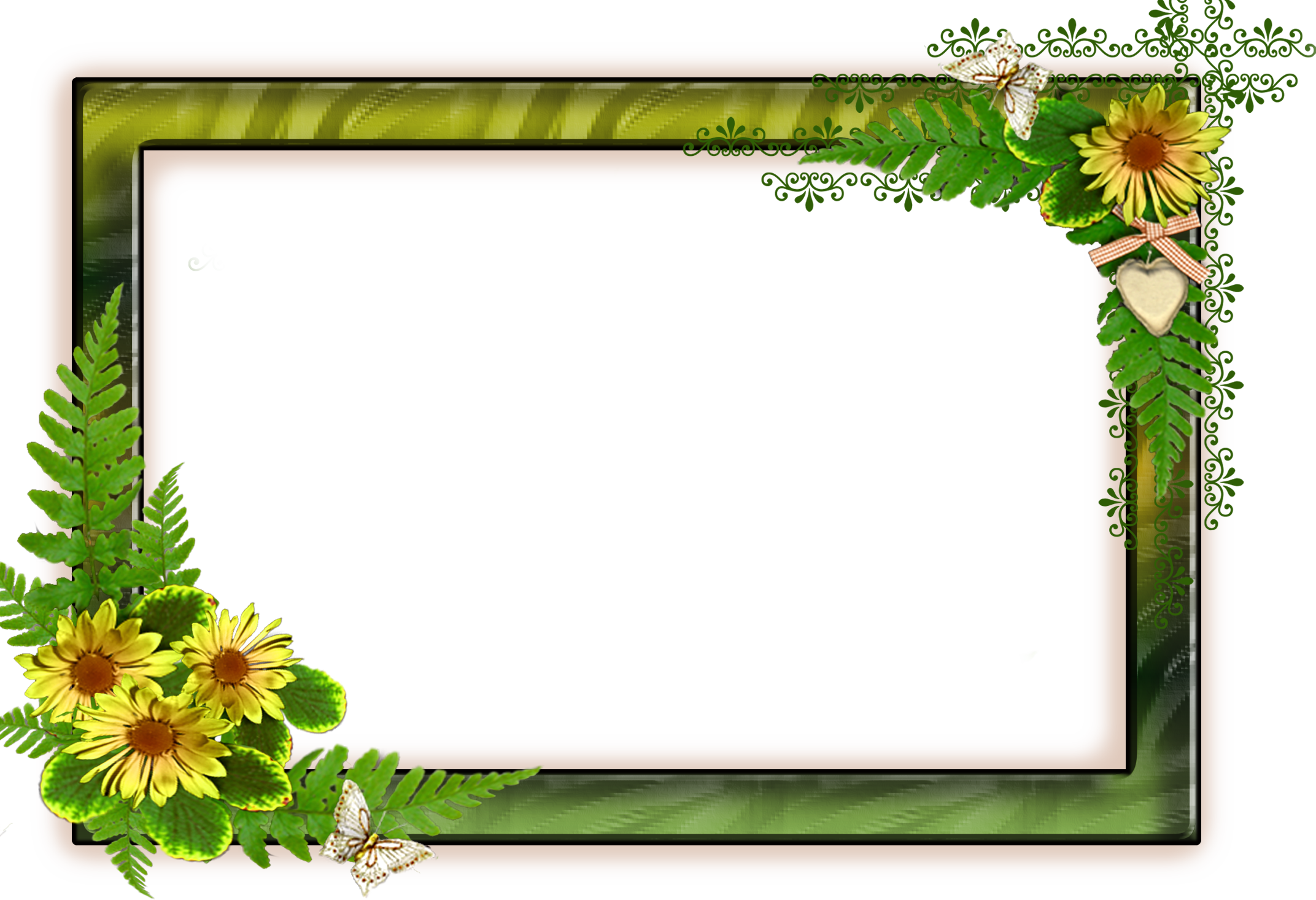 Png Frame With Flowers On A Transparent Background - Frames With Transparent Background (2144x1466)