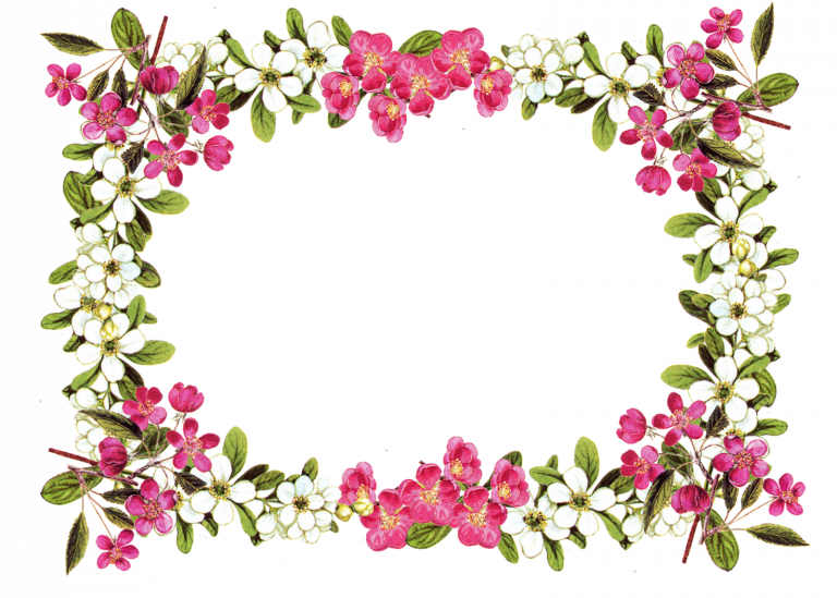 Download Spectacular Free Floral Border Clipart - Download Spectacular Free Floral Border Clipart (768x549)