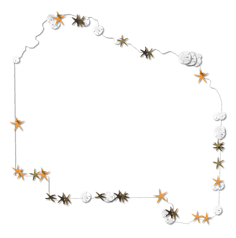 Alachua Fancy Frame Style Maps In 30 Styles - Nature Transparent Frames (762x768)