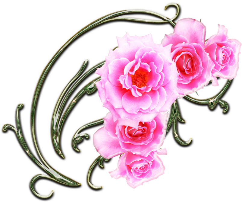 Pink Rose Border Clip Art Swirls - Hybrid Tea Rose (900x832)