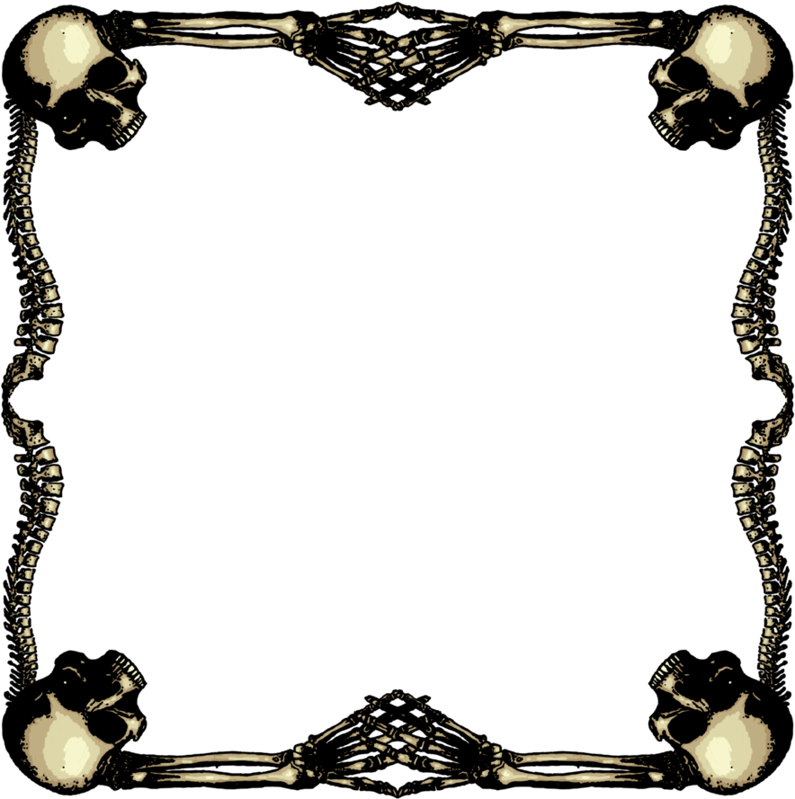 Skeletal Frame Large By Sevenbridges - Skull Frame Png (1600x1600)