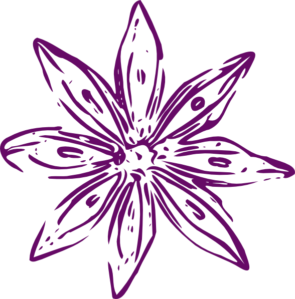 Flower Outline Clip Art - Purple Lily Clip Art (588x597)